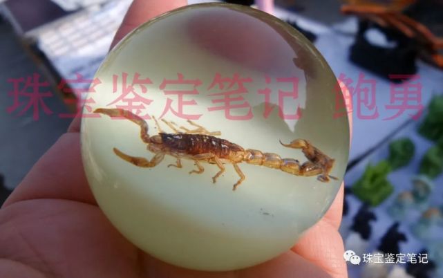 人造夜光“昆蟲琥珀”,它不香嗎?