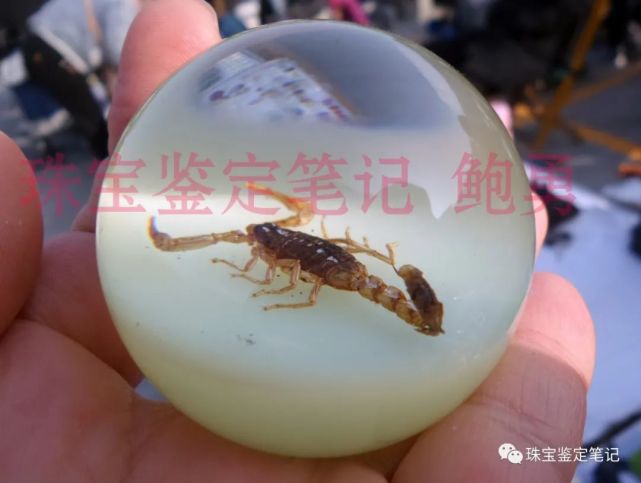 人造夜光“昆蟲琥珀”,它不香嗎?