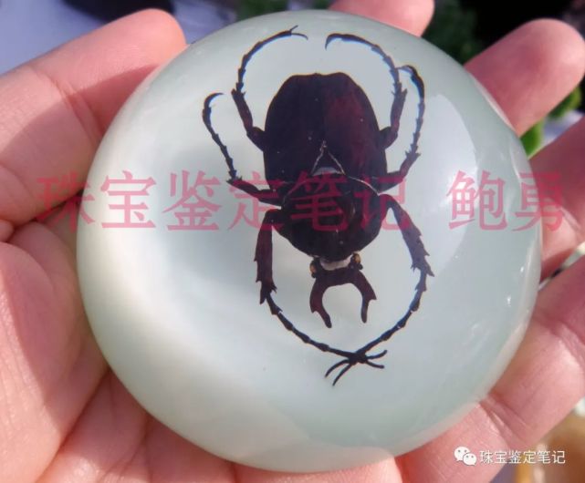 人造夜光“昆蟲琥珀”,它不香嗎?