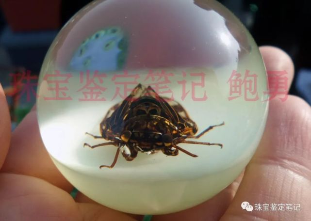 人造夜光“昆蟲琥珀”,它不香嗎?