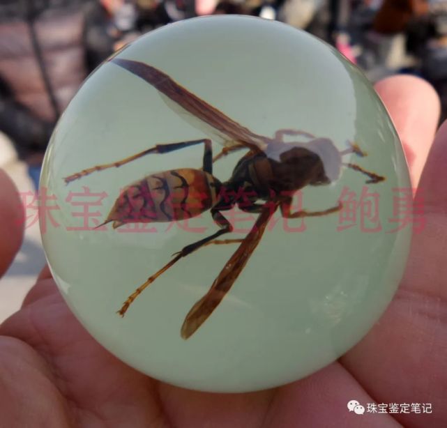 人造夜光“昆蟲琥珀”,它不香嗎?