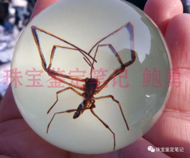 人造夜光“昆蟲琥珀”,它不香嗎?