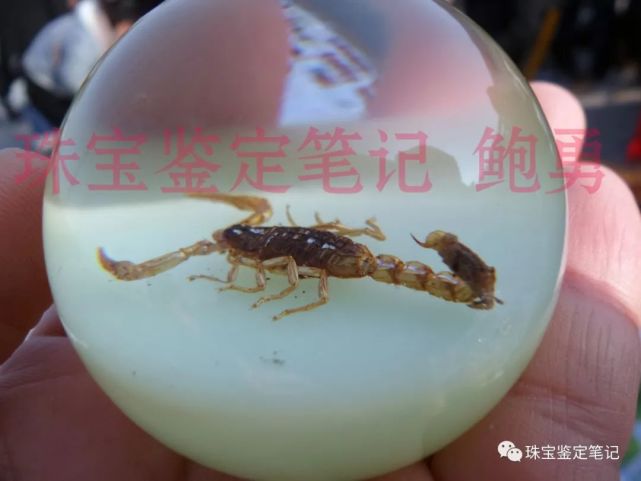 人造夜光“昆蟲琥珀”,它不香嗎?