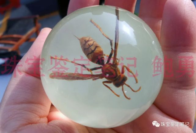 人造夜光“昆蟲琥珀”,它不香嗎?