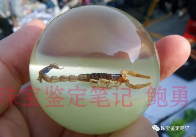 人造夜光“昆蟲琥珀”,它不香嗎?