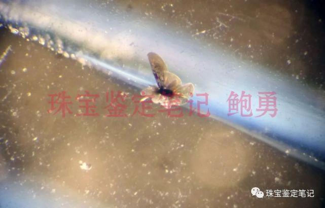 檢測案例:藍幽靈水晶檢測——藍臉的“竇爾墩”原來是李鬼!