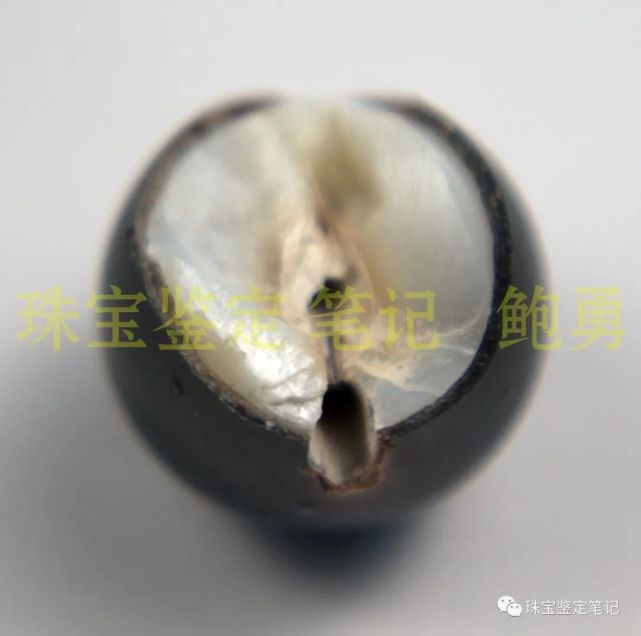 珍珠謎案---能摔碎的珍珠,一定是假貨吧?
