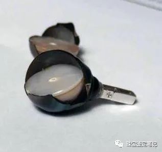 珍珠謎案---能摔碎的珍珠,一定是假貨吧?