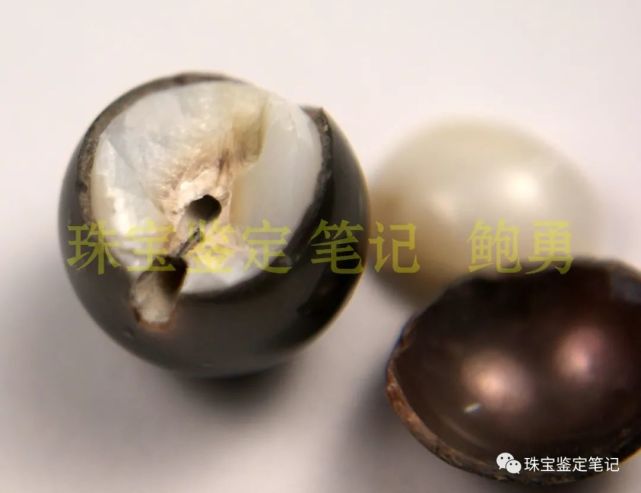 珍珠謎案---能摔碎的珍珠,一定是假貨吧?
