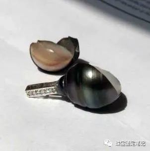 珍珠謎案---能摔碎的珍珠,一定是假貨吧?