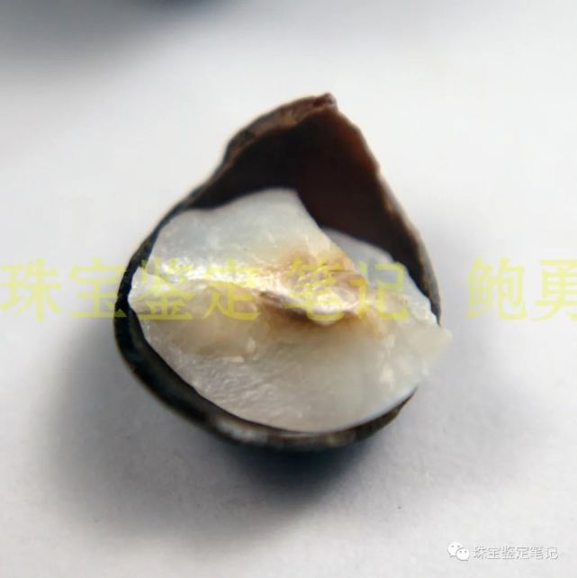 珍珠謎案---能摔碎的珍珠,一定是假貨吧?