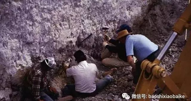 這顆“紅寶石”竟然是祖母綠!