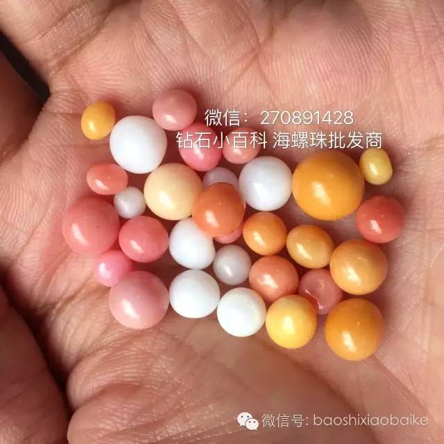 詳解“稀有海螺珠之—孔克珠”