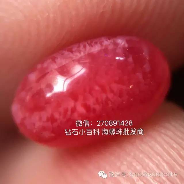 詳解“稀有海螺珠之—孔克珠”