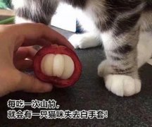 最具神秘靈氣的貓眼石，慈禧要放枕下才可入睡