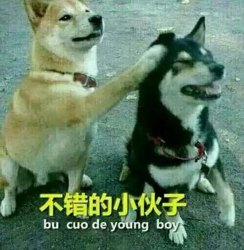 不愛戴珠寶的郭晶晶,為何對這對耳環情有獨鐘?