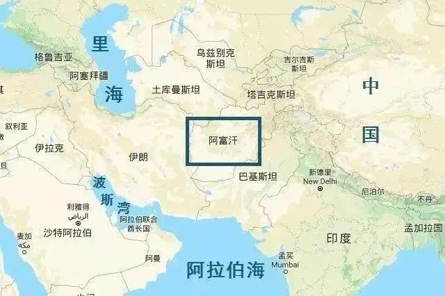 最新猛料:國內黃金不合格率高達43.75%?最具投資價值的反而是這些“進口貨”?