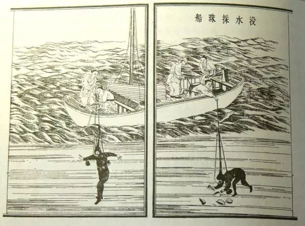 珍珠|史上最“老”珍珠曝光!8000年了,還光澤如新?這都是因為...