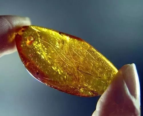 琥珀｜這5種珠寶個個有毒、害人不淺！你可能還在戴它.....
