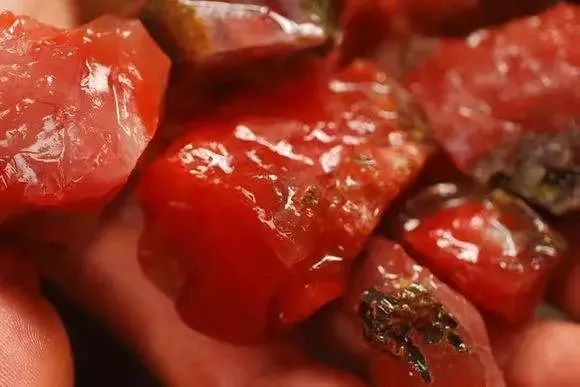 琥珀｜這5種珠寶個個有毒、害人不淺！你可能還在戴它.....