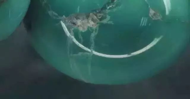 琥珀｜這5種珠寶個個有毒、害人不淺！你可能還在戴它.....