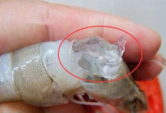琥珀｜這5種珠寶個個有毒、害人不淺！你可能還在戴它.....