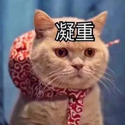 張鈞甯參加婚禮,出發前竟然把新娘500萬的珠寶弄丟了?