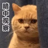 舒曾寫:暴發戶只懂得卡地亞???