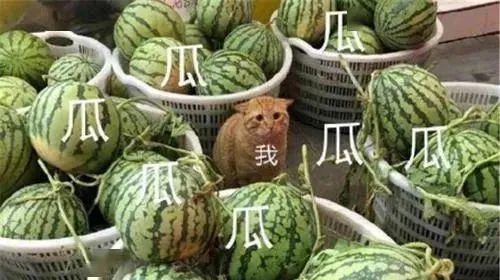 霍思燕讓杜江多買點鉆石送人，誰這么大面子？