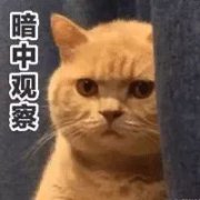 舒曾寫：暴發戶只懂得卡地亞？？？
