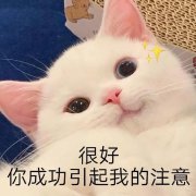 新發現的俄羅斯玻璃種？你看看值錢嗎？