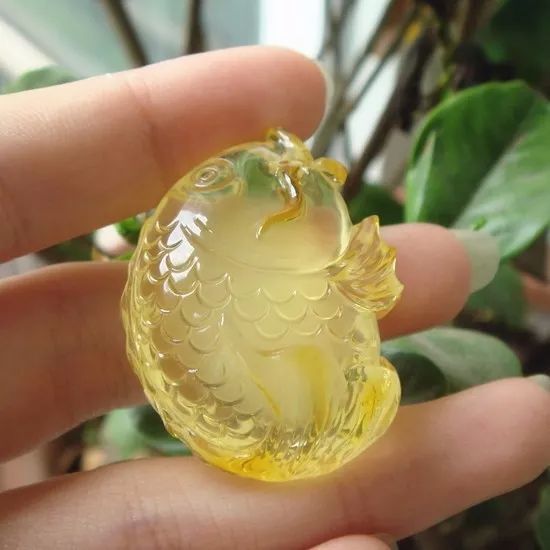 琥珀蜜蠟大全!雞油黃、金絞蜜、白花蜜..以后不會買錯了!