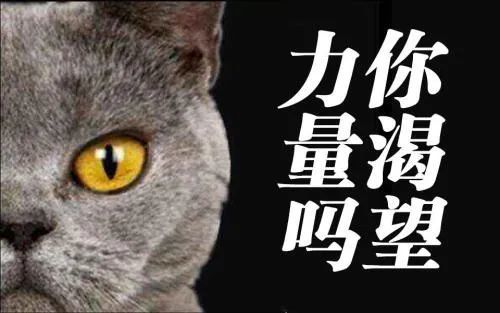 拜了那么多年的觀音娘娘,竟然不知道有這么多面孔?