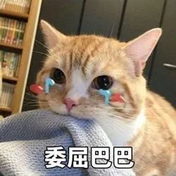 這4種火到爆的項鏈千萬別買!又貴又易斷,買了就等著賠錢吧...