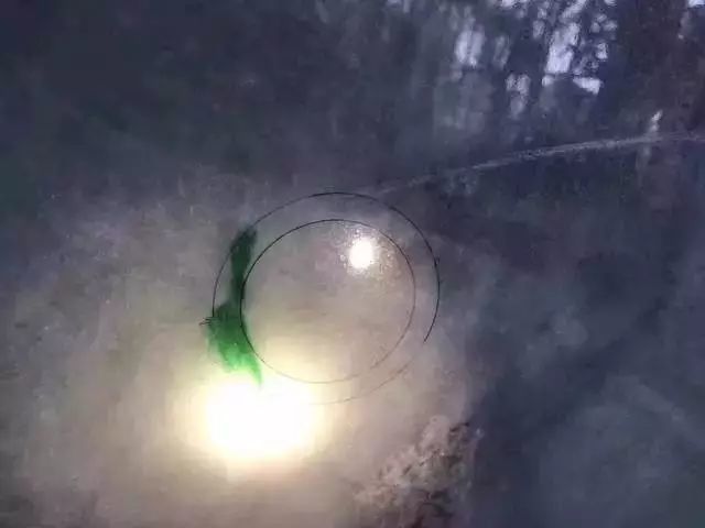 翡翠戒面小小的，卻是賣得最貴的，你知道為什么嗎？