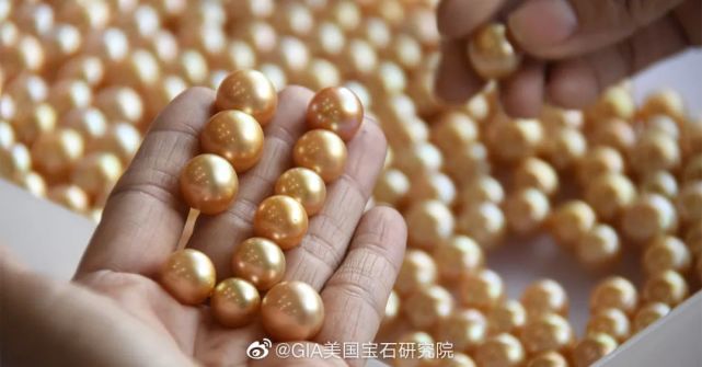 南洋金珠什么樣的好？一分鐘認識南洋金珠