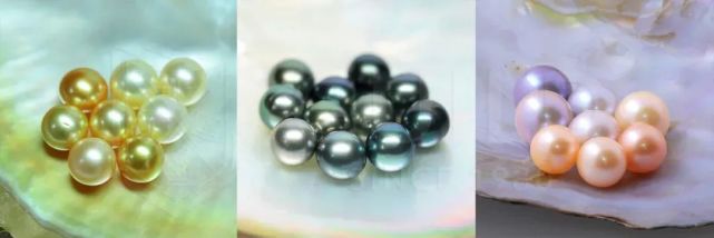 南洋金珠什么樣的好？一分鐘認識南洋金珠