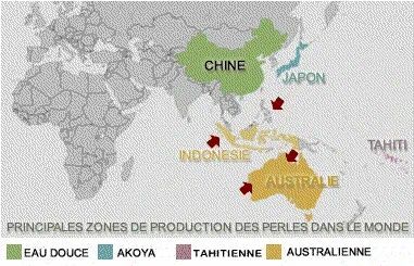 南洋金珠什么樣的好？一分鐘認識南洋金珠