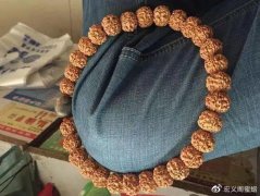 盤金剛的這些配套工具你都有嗎？