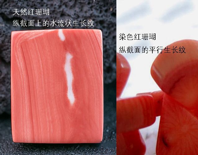 真假紅珊瑚鑒別圖，讓你輕松學會辨真假 -紅珊瑚