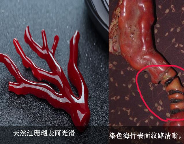 真假紅珊瑚比較圖，紅珊瑚的真假到底該如何看