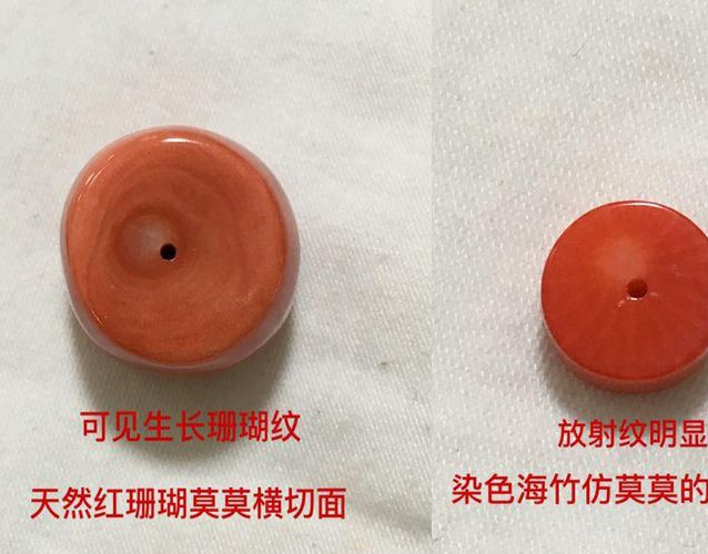 真假紅珊瑚比較圖，紅珊瑚的真假到底該如何看