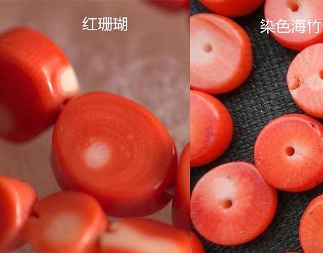 天然紅珊瑚真假對照圖分析，教你鑒別紅珊瑚