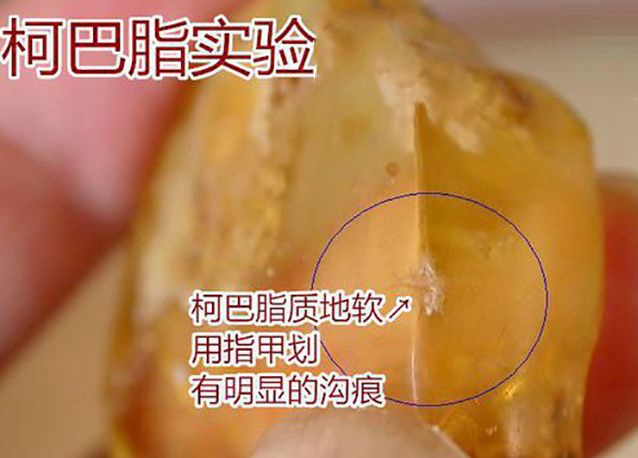 柯巴樹脂為何被用來仿冒琥珀蜜蠟？如何識別柯