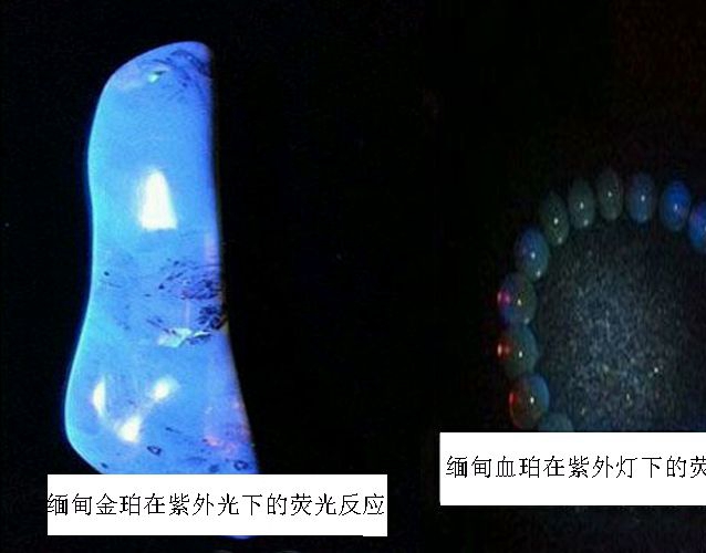 真正的天然琥珀的熒光反應有何區別？如何用熒