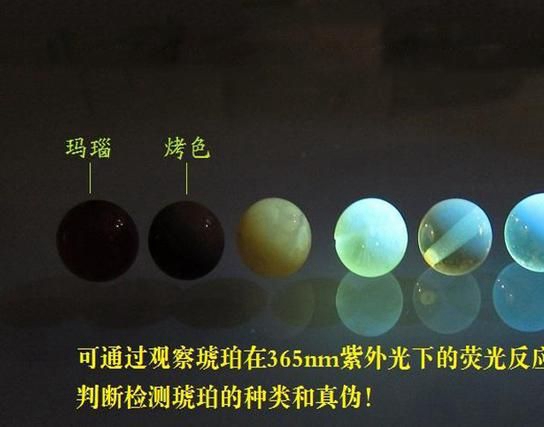 真正的天然琥珀的熒光反應有何區別？如何用熒