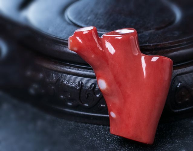 紅珊瑚長什么樣？怎樣判斷紅珊瑚的品類？ -紅珊