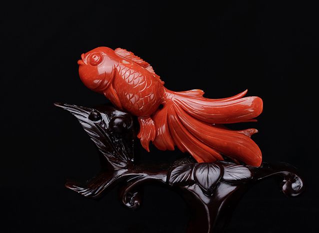 紅珊瑚究竟是什么？紅珊瑚成分有哪些？ -紅珊瑚