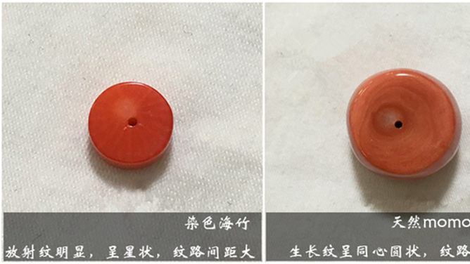 3分鐘學會紅珊瑚鑒別，小白也能成行家 -紅珊瑚