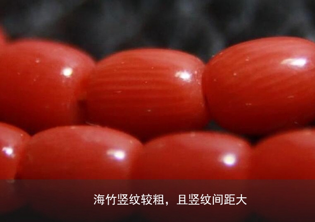 紅珊瑚真假鑒別——如何區分染色海竹和天然紅